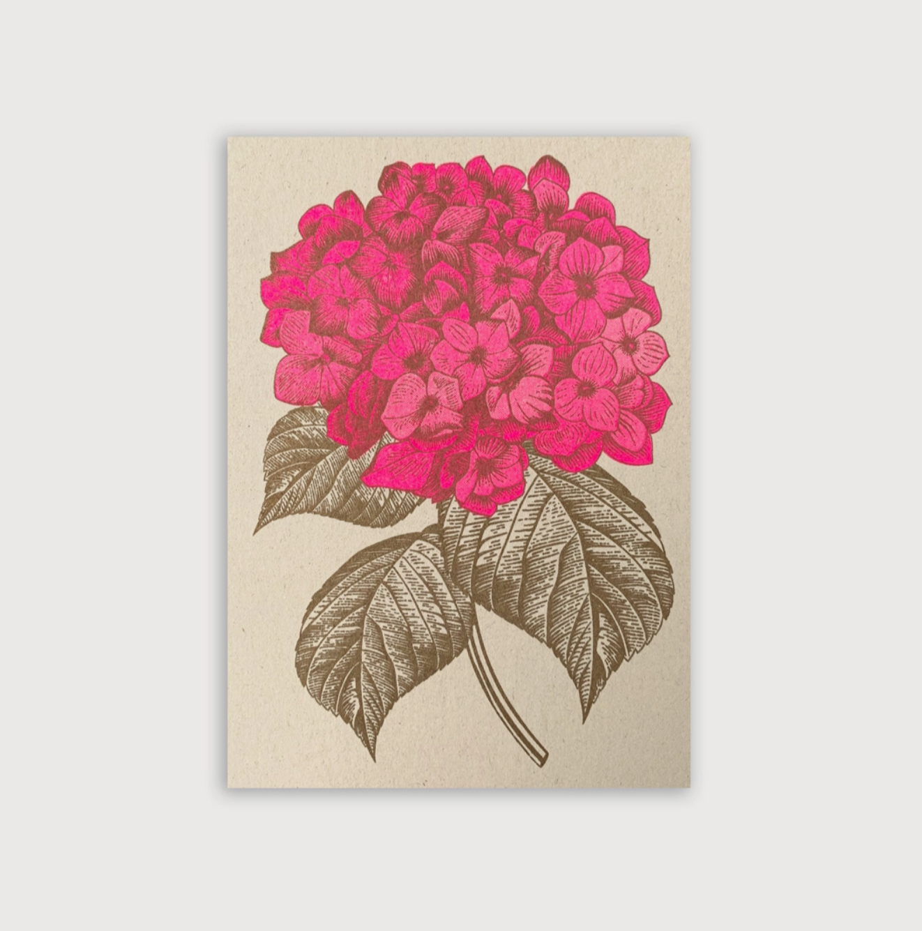 Postkarte / Hortensie / Ökopapier