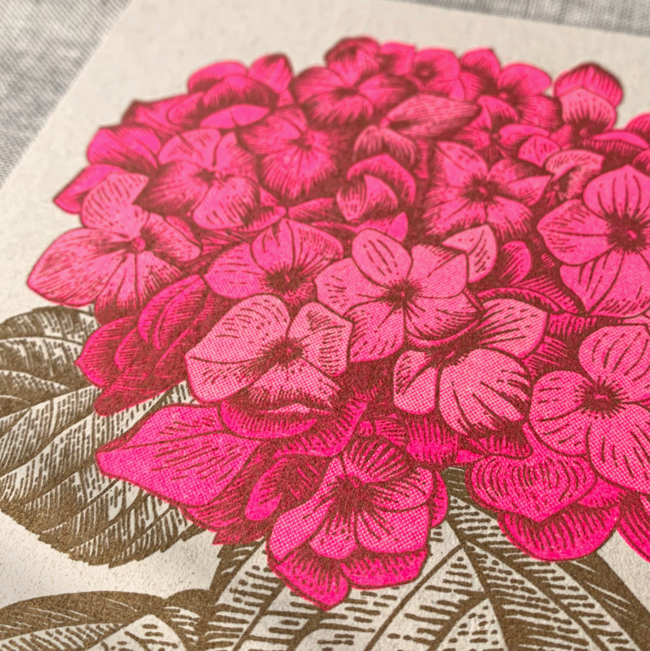 Postkarte / Hortensie / Ökopapier