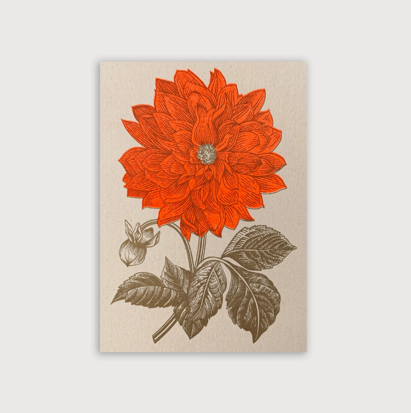 Postkarte / Dahlie / Pflanzenfarbe / Ökopapier